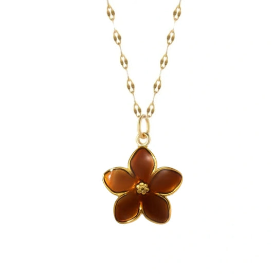 Brown Daisy